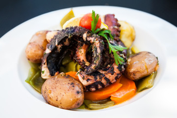 close-up grilled octopus