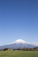 朝霧高原の牧場と富士山
