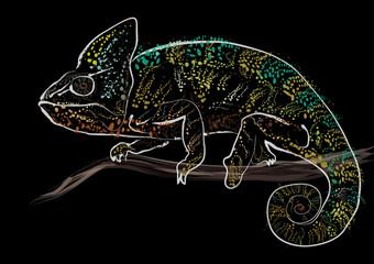 chameleon dark © zest2709