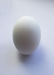 one white egg object on a white background isolated