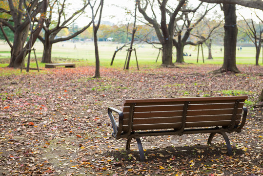 wooden bench dried leaves in autumn park, selective focus