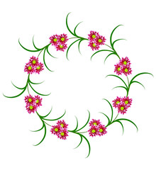 Flowers isolated on white background.