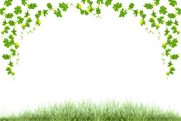 Green leaves frame isolated on white background ,copy space for - obrazy, fototapety, plakaty