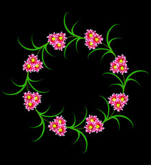 Flowers isolated on black background.