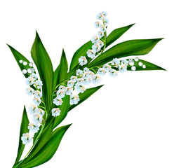  flowers lily of the valley