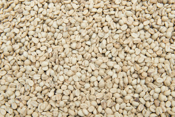 Coffee beans dried in the sun