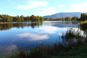 Jezioro w Bukowcu