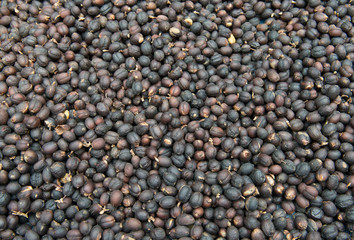 Coffee beans dried in the sun