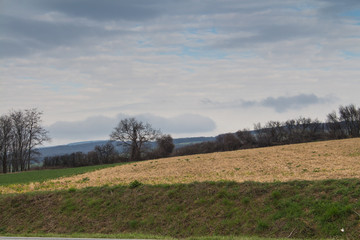 Spring country in the early cloudy morning