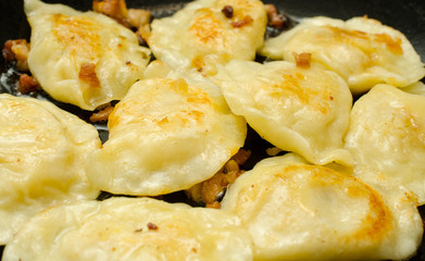 Fototapeta na wymiar Fried dumplings with cottage cheese on a plate close-up