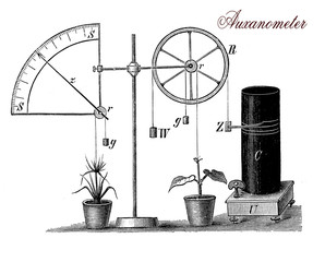 Fototapeta na wymiar Auxanometer, vintage illustration