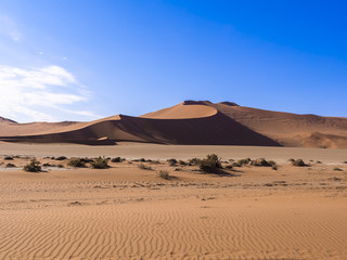 Fototapeta na wymiar Sanddünen, Sossusvlei, Namib-Wüste, Namib Naukluft Park, Namibia