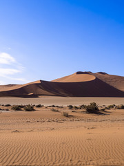 Obraz na płótnie Canvas Sanddünen, Sossusvlei, Namib-Wüste, Namib Naukluft Park, Namibia