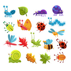 Insect And Leaves Collection