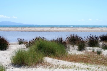Fotografia del Mare e della Spiaggia