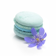 blue macaroon on white background