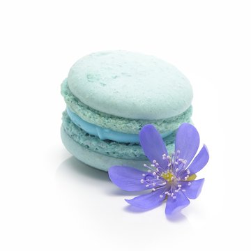 Blue Macaroon On White Background