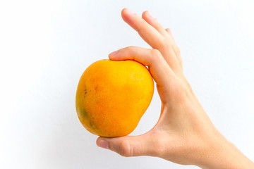 A small mango held in the hand of a young woman, isolated on white.