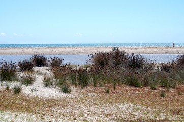 Fotografia del Mare e della Spiaggia