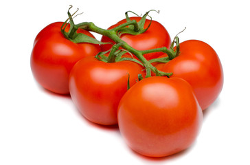 red tomatoes background