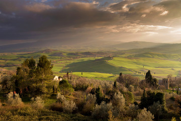 Fototapeta premium Spring in the fields of Tuscany in the sunset