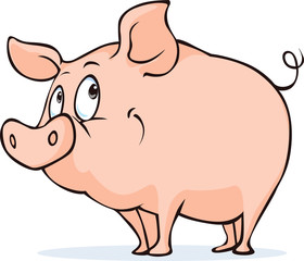 cute vector pig isolated on white background