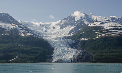 Wellesley Glacier in College Fjord
