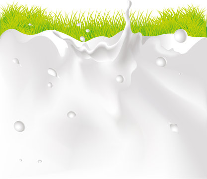 Milk Splash Background And green Grass vector