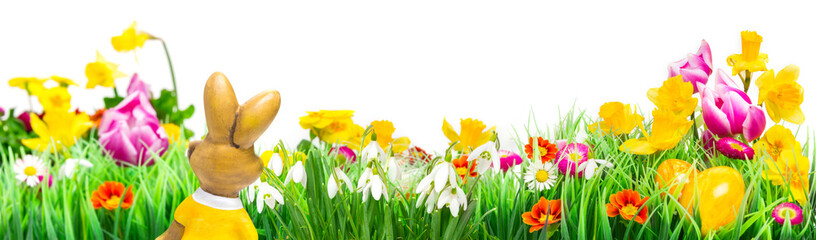 Osterhase, Osterwiese, Frühlingswiese
