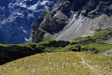 Alpejki szlak