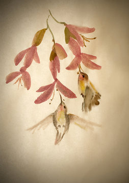 hummingbird nectar mining