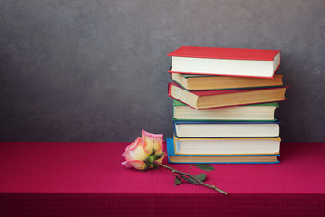 Rose and the pile of books on the table with a red tablecloth.