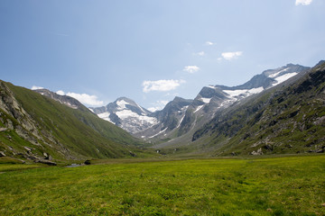 Alpine Landscape 