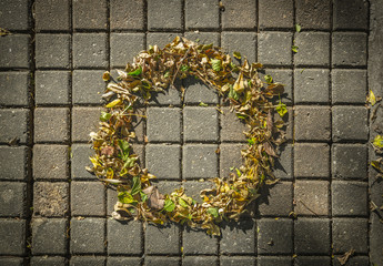 Obraz na płótnie Canvas Circle shape leaf on paver brick floor