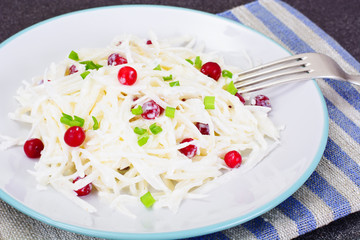 Dietary Salad from Daikon and Cranberry  Health Food