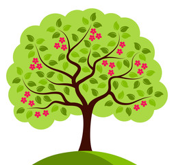 Fototapeta premium flowering tree