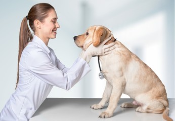 Vet.