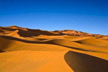 Fototapeta na wymiar Morocco. The dunes of Erg Chebbi