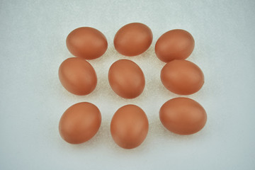 eggs