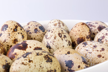 quail eggs on a white background. Food image with space for text