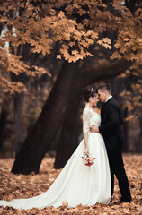 Luxury married wedding couple, bride and groom posing in park autumn