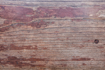 Vintage horizontal wooden texture. Background old panels with copy space