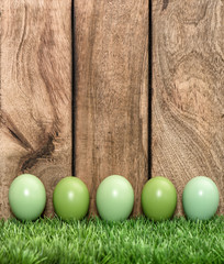 Pastel colored eggs in green grass Easter holiday