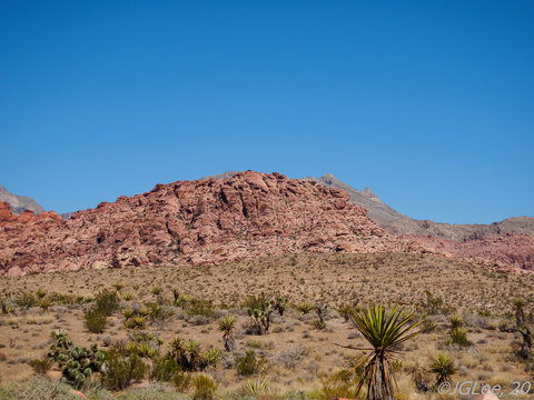 Rocks of Red Rock Canyon