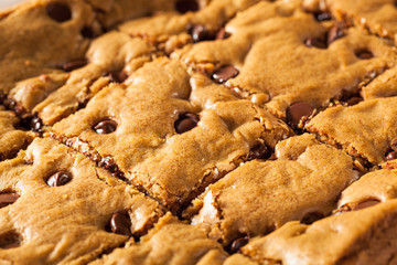 Homemade Chocolate Chip Blondies