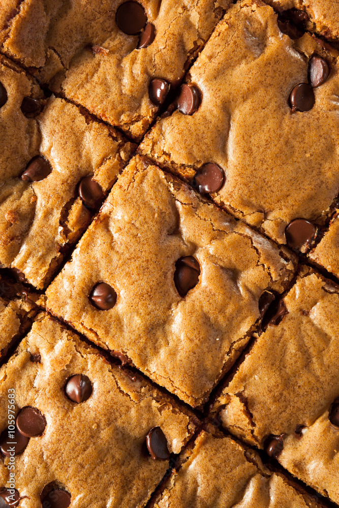 Sticker Homemade Chocolate Chip Blondies