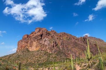 Arizona-Superstition Mountain Wilderness-Dutchman Trail