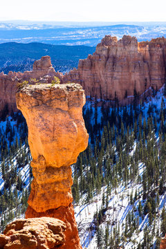 Stone hoodoo in Bryce Canyon National Park