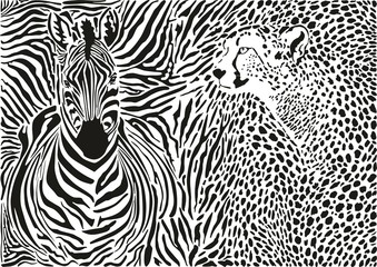 Zebra and cheetah and pattern background