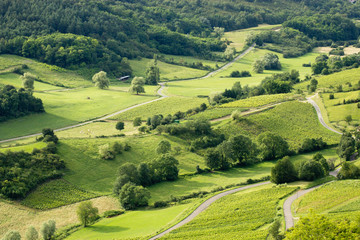 Ve aérienne de la campagne avec route , champs, et bosquet